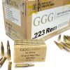 GGG-223-Rem-FMJ-55-gr.-1200-Stk_Shooting_Range_Blintendorf
